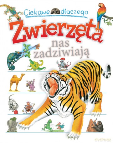 Ciekawe dlaczego Zwierzęta nas zadziwiają - Anita Ganeri, Belinda Weber, Jenny Wood, Amanda O'Neill (twarda) [KSIĄŻKA]