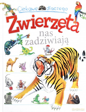 Ciekawe dlaczego Zwierzęta nas zadziwiają - Anita Ganeri, Belinda Weber, Jenny Wood, Amanda O'Neill (twarda) [KSIĄŻKA]