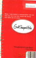 God-Shaped Hole - Tiffanie DeBartolo [KSIĄŻKA]