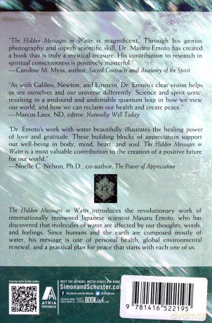 Hidden Messages in Water - Masaru Emoto [KSIĄŻKA]