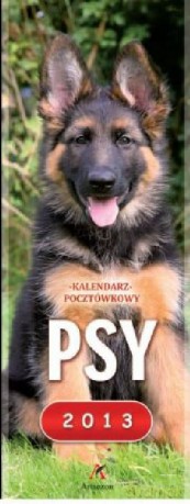 Kalendarz pocztówkowy 2015. Psy