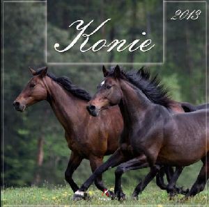 Kalendarz ścienny 2013. Konie