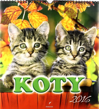Koty. Kalendarz ścienny 2015 [KALENDARZ]