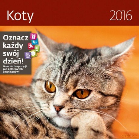 Koty. Kalendarz ścienny 2016