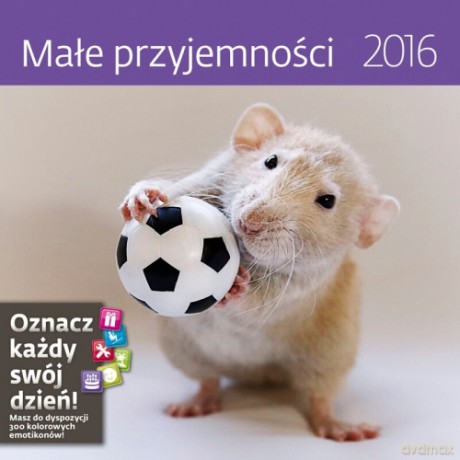 Małe przyjemności. Kalendarz ścienny 2016