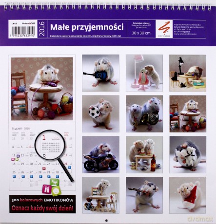 Małe przyjemności. Kalendarz ścienny 2016
