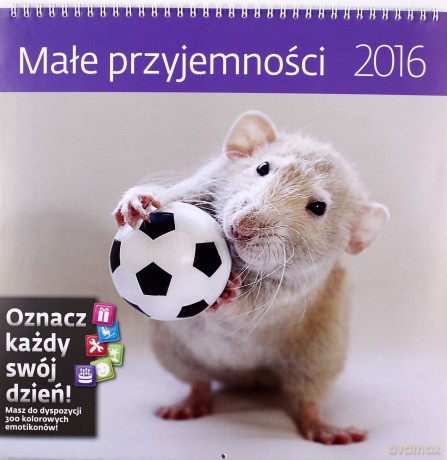 Małe przyjemności. Kalendarz ścienny 2016