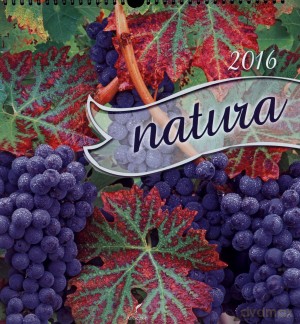 Natura. Kalendarz ścienny 2016
