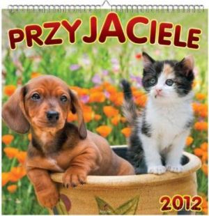 Przyjaciele. Kalendarz 2014