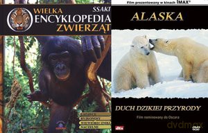 Wielka encyklopedia zwierząt. Ssaki. Tom 2 (twarda) [KSIĄŻKA]