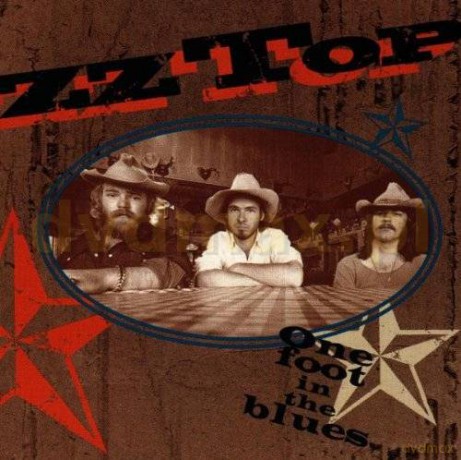 ZZ TOP: One Foot In The Blues [CD]