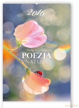 Kalendarz 2016 Reklamowy Poezja natury [KALENDARZ]