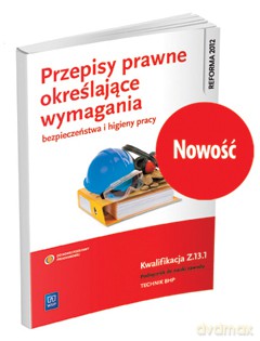 Przepisy prawne określające wymagania BHP Kwalifikacja Z.13.1 [KSIĄŻKA]