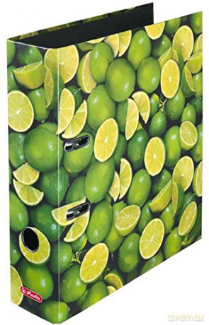 Segregator A4 8 cm Limonki max. file