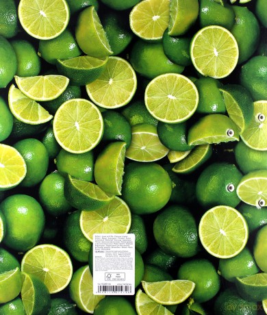 Segregator A4 8 cm Limonki max. file