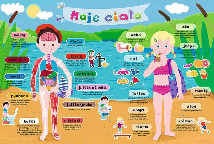 TREFL Puzzle Edukacyjne Moje ciało [PUZZLE]