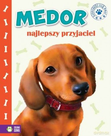 Zaopiekuj się mną. Medor - najlepszy przyjaciel [KSIĄŻKA]