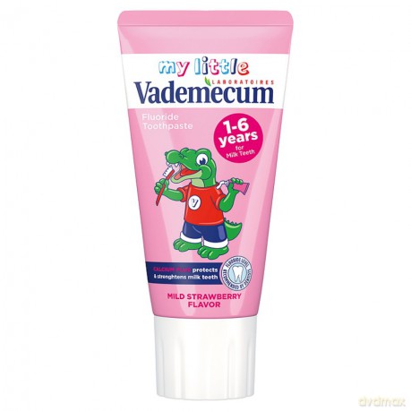 Vademecum Junior Pasta do zębów dla dzieci 0-6 Truskawka 50 ml