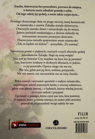 Amelia - Katarzyna Michalak [KSIĄŻKA]