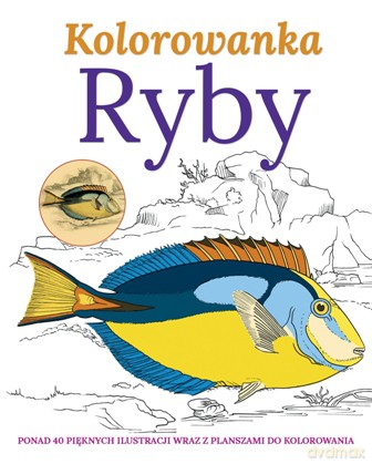 Ryby. Kolorowanki [KSIĄŻKA]