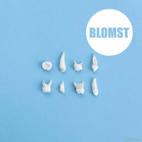 Blomst: Blomst [CD]