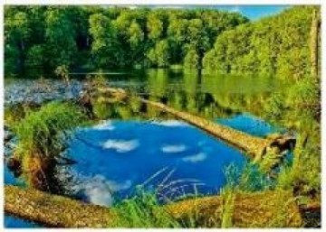 Kalendarz 2016 Trójdzielny Leśny Staw GM819 [KALENDARZ]