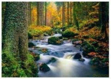 Kalendarz 2016 Trójdzielny Strumień GM813 [KALENDARZ]