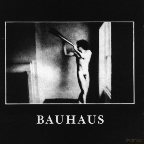 Bauhaus: In The Flat Field [Winyl]
