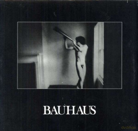 Bauhaus: In The Flat Field (Limited Edition) [2xWinyl]