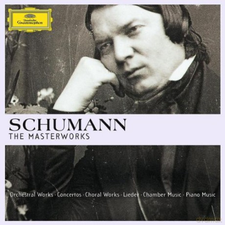 Schumann The Masterworks [BOX] [35CD]
