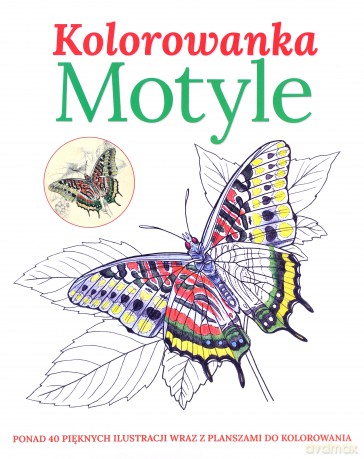 MOTYLE. Ponad 40 pięknych ilustracji wraz z planszami do kolorowania [KSIĄŻKA]