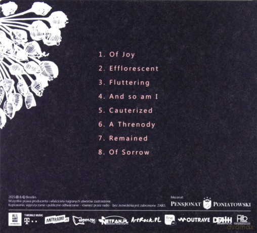 Besides: Everything Is [CD]