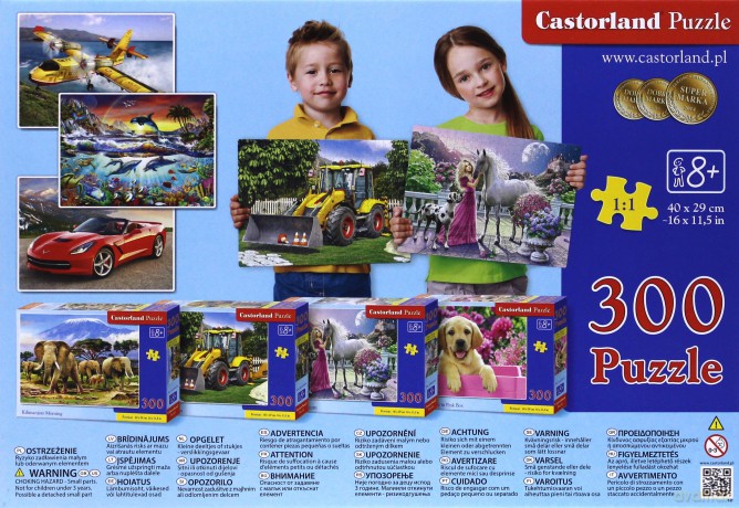 CASTOR 300 el. Mój przyjaciel jednorożec [PUZZLE]