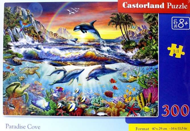 CASTOR 300 el. Podwodny raj [PUZZLE]