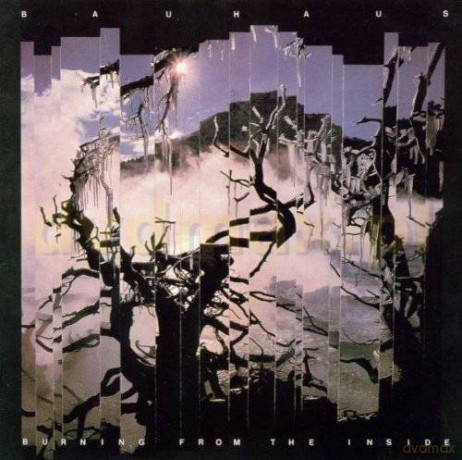Bauhaus: Burning From The Inside [CD]