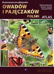 Ilustrowana encyklopedia owadów i pajęczaków. Polski atlas - Michał Grabowski, Radomir Jaskuła, Krzysztof Pabis (twarda) [KSIĄŻKA]