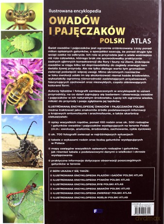 Ilustrowana encyklopedia owadów i pajęczaków. Polski atlas - Michał Grabowski, Radomir Jaskuła, Krzysztof Pabis (twarda) [KSIĄŻKA]