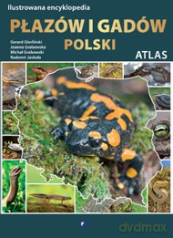 Ilustrowana encyklopedia płazów i gadów. Polski atlas - Gerard Gierliński, Michał Grabowski, Radomir Jaskuła (twarda) [KSIĄŻKA]