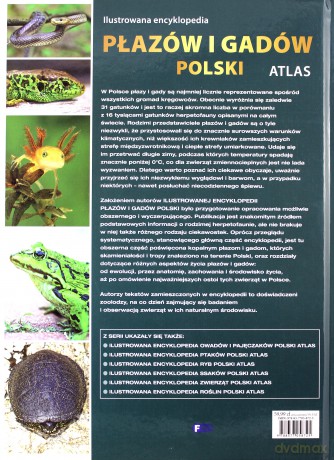 Ilustrowana encyklopedia płazów i gadów. Polski atlas - Gerard Gierliński, Michał Grabowski, Radomir Jaskuła (twarda) [KSIĄŻKA]