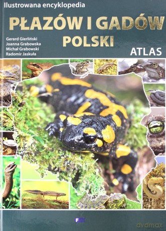 Ilustrowana encyklopedia płazów i gadów. Polski atlas - Gerard Gierliński, Michał Grabowski, Radomir Jaskuła (twarda) [KSIĄŻKA]