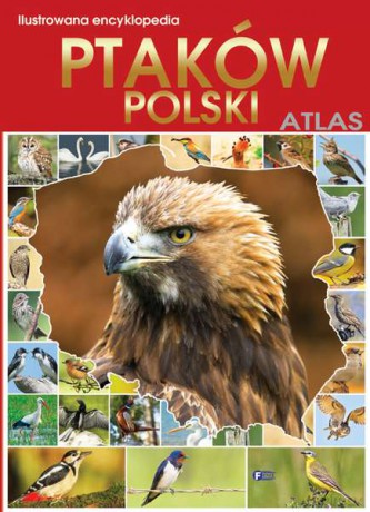 Ilustrowana encyklopedia ptaków. Polski atlas (twarda) [KSIĄŻKA]