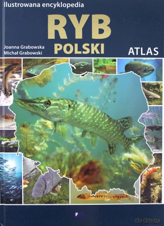 Ilustrowana encyklopedia ryb. Polski atlas - Joanna Grabowska, Michał Grabowski (twarda) [KSIĄŻKA]