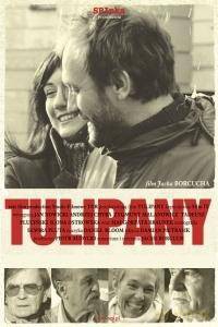 Tulipany [DVD]