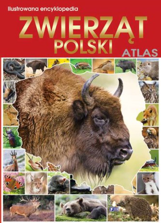 Ilustrowana encyklopedia zwierząt. Polski atlas (twarda) [KSIĄŻKA]