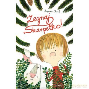 Żegnaj skarpetko - Benjamin Chaud (twarda) [KSIĄŻKA]