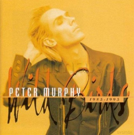 Peter Murphy: Wild Birds 1984-1995 [CD]