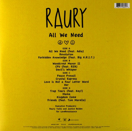 Raury: All We Need [2xWinyl]