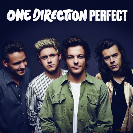 One Direction: Perfect [CD]