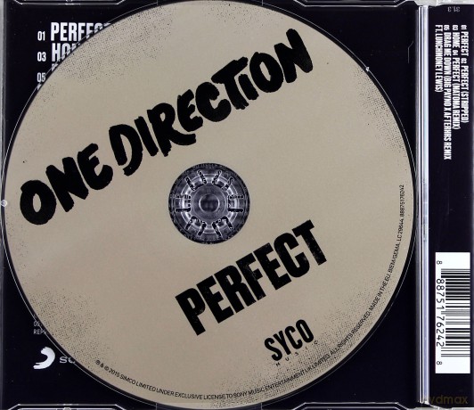 One Direction: Perfect [CD]