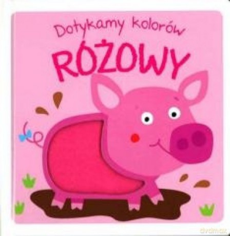 Dotykamy kolorów. Różowy [KSIĄŻKA]